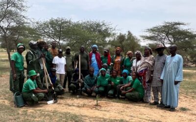 CERFLA, SOS SAHEL et l’ASER-GMV ensemble pour un Sénégal vert au Ferlo